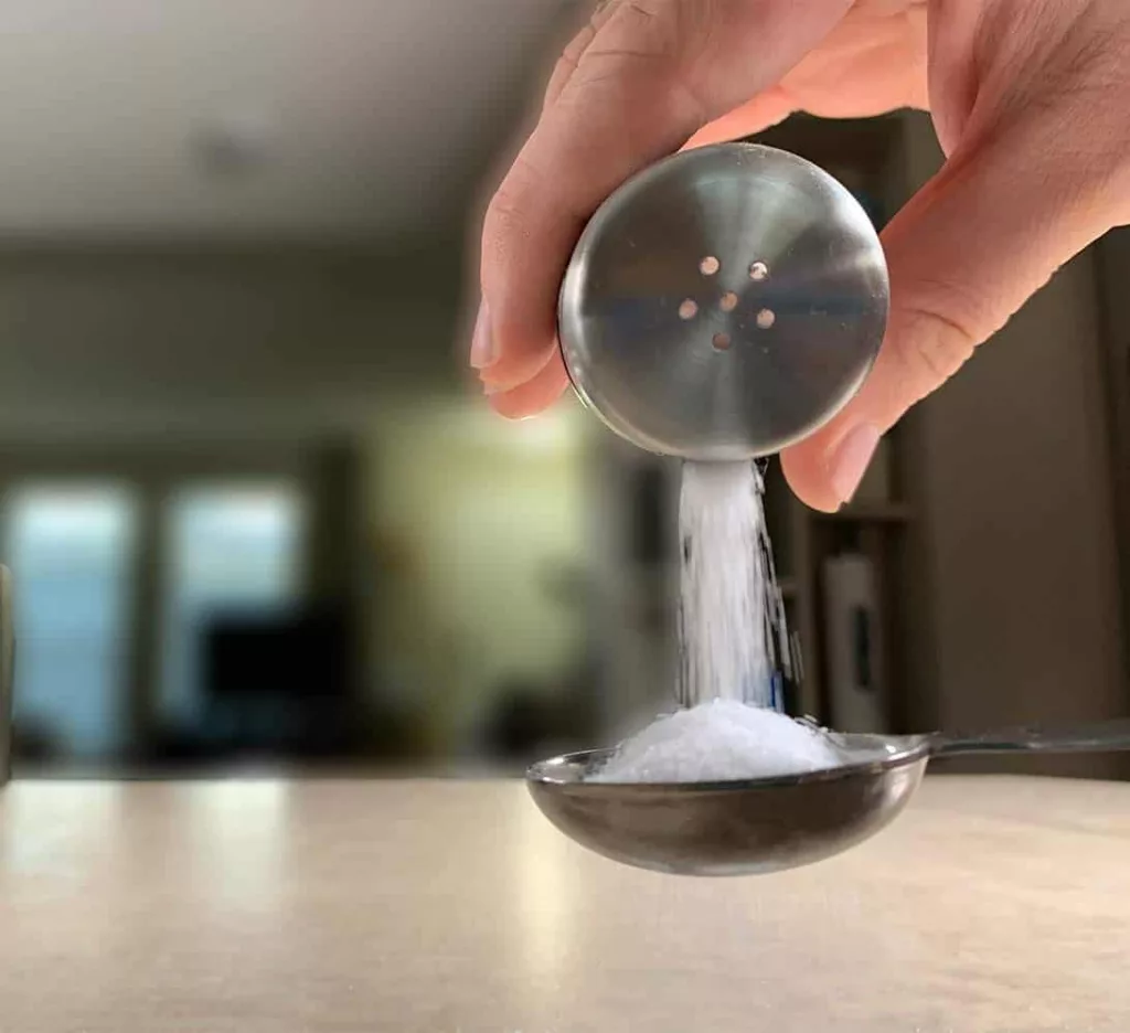 best salt shaker.