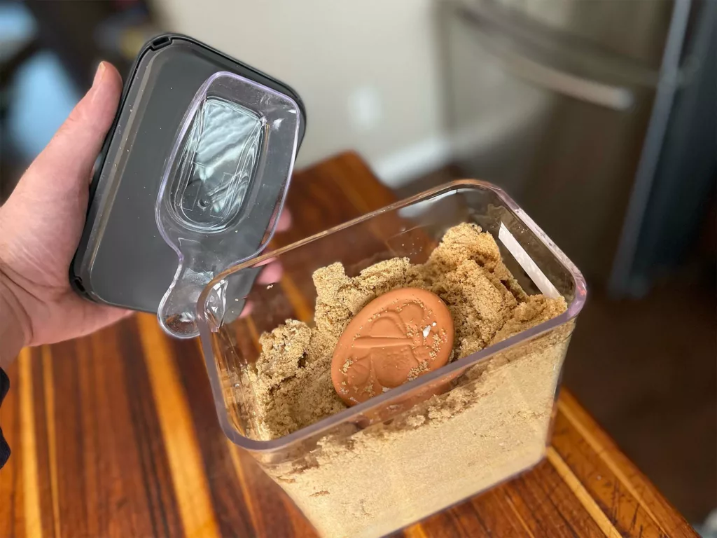 OXO Pop container with brown sugar saver and half cup scoop.