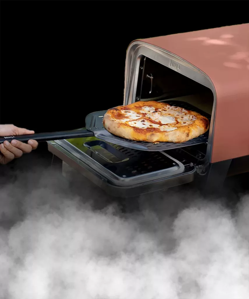 Ninja Woodfire Oven.
